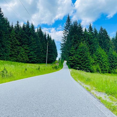 Gorska Cisza - Duzy, Komfortowy, Wyjatkowy Apartament Stronie Śląskie المظهر الخارجي الصورة