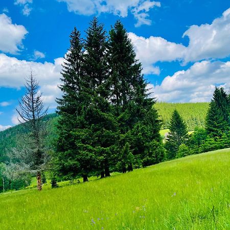 Gorska Cisza - Duzy, Komfortowy, Wyjatkowy Apartament Stronie Śląskie المظهر الخارجي الصورة