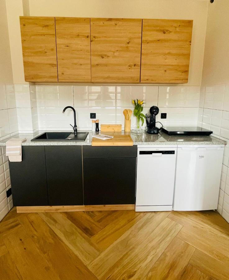 Gorska Cisza - Duzy, Komfortowy, Wyjatkowy Apartament Stronie Śląskie المظهر الخارجي الصورة