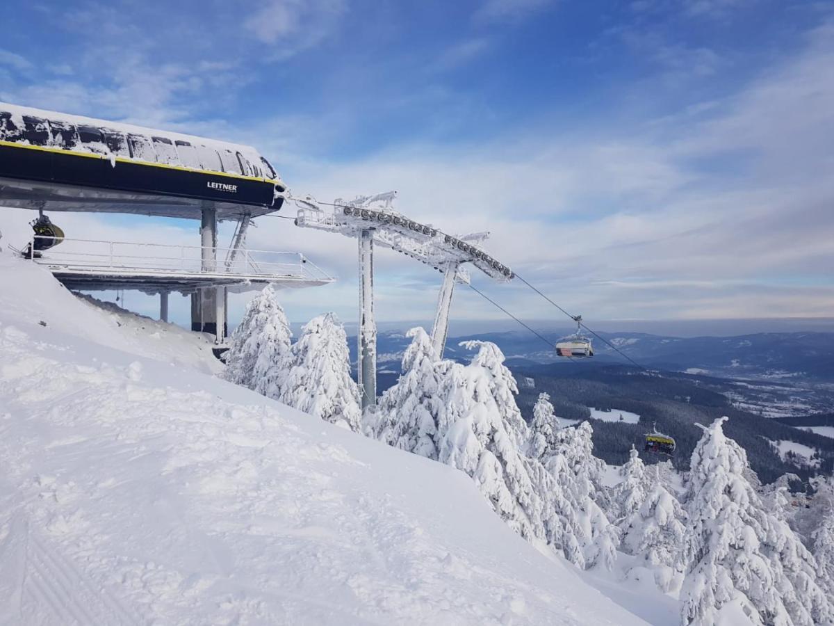 Gorska Cisza - Duzy, Komfortowy, Wyjatkowy Apartament Stronie Śląskie المظهر الخارجي الصورة