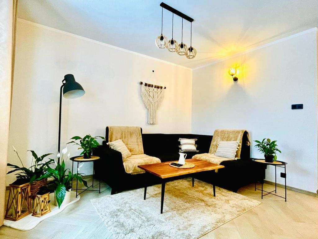 Gorska Cisza - Duzy, Komfortowy, Wyjatkowy Apartament Stronie Śląskie المظهر الخارجي الصورة