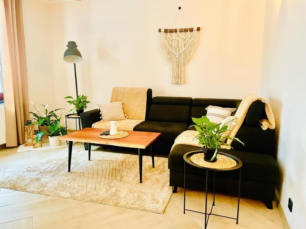 Gorska Cisza - Duzy, Komfortowy, Wyjatkowy Apartament Stronie Śląskie المظهر الخارجي الصورة