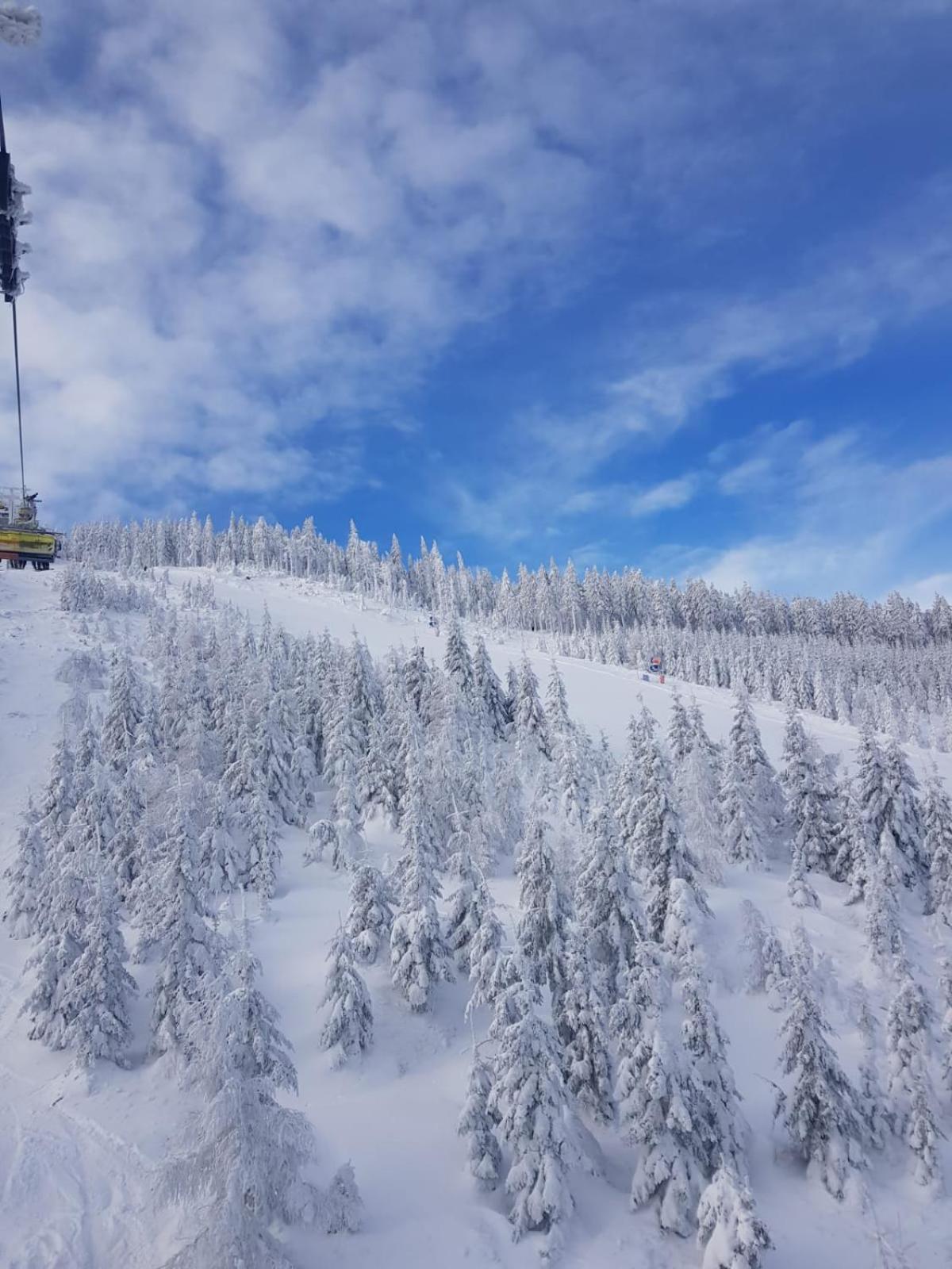 Gorska Cisza - Duzy, Komfortowy, Wyjatkowy Apartament Stronie Śląskie المظهر الخارجي الصورة