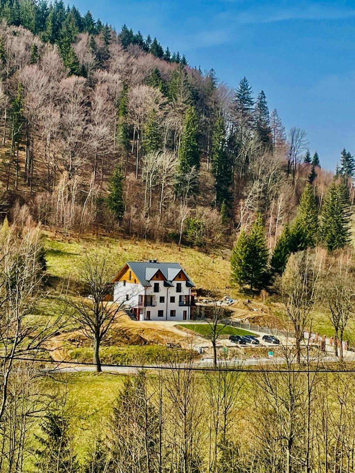 Gorska Cisza - Duzy, Komfortowy, Wyjatkowy Apartament Stronie Śląskie المظهر الخارجي الصورة